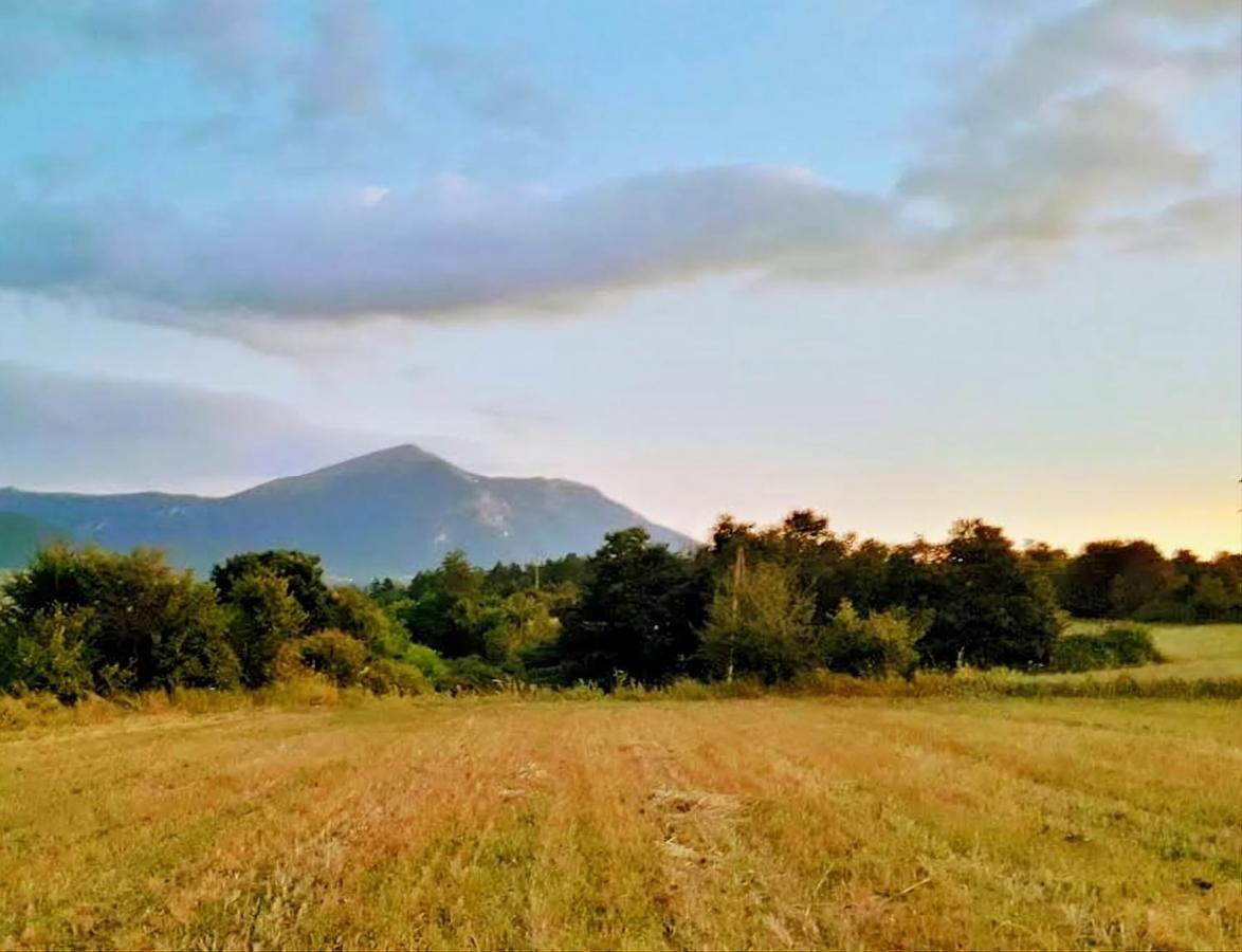 Guest house Saturea Boljevac